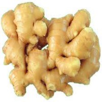 Ginger (Aadu)