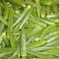Ladyfinger (Bhinda)
