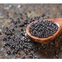 Mustard Seeds (Rai) Big