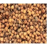 Mesua Ferrea - Cinnamon Buds (Nag Kesar)