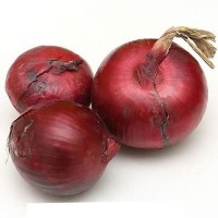 Organic Onion