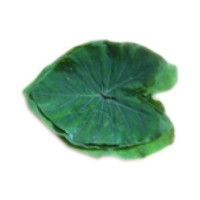 Pattarvel