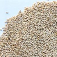 Sesame Seeds (Tal White)