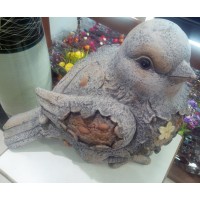New World - Show Piece