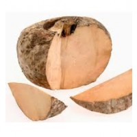 Suran (Yam)