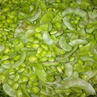 Surti Papdi