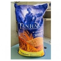 Tanhaji Sihori Sarbati Wheat 