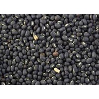 Urad Super