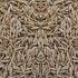 V.I.P.  Cumin Seeds (Jeera)